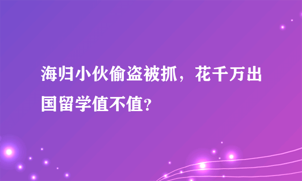 海归小伙偷盗被抓，花千万出国留学值不值？
