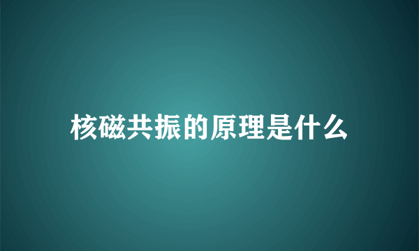 核磁共振的原理是什么