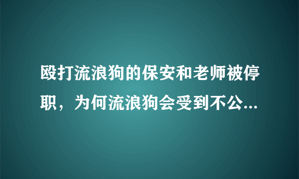 殴打流浪狗的保安和老师被停职，为何流浪狗会受到不公的对待？
