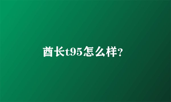 酋长t95怎么样？