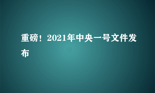 重磅！2021年中央一号文件发布
