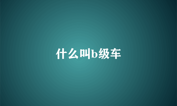 什么叫b级车