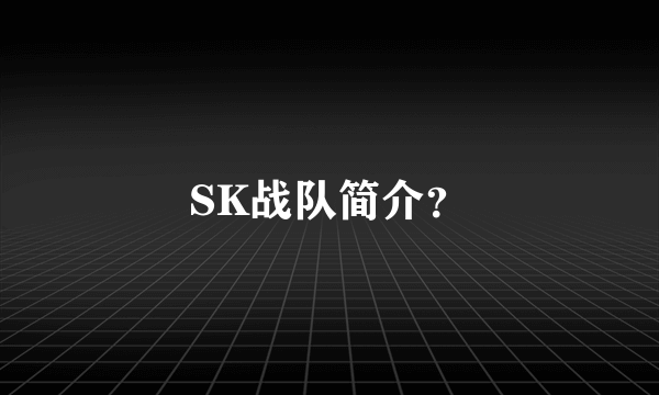 SK战队简介？