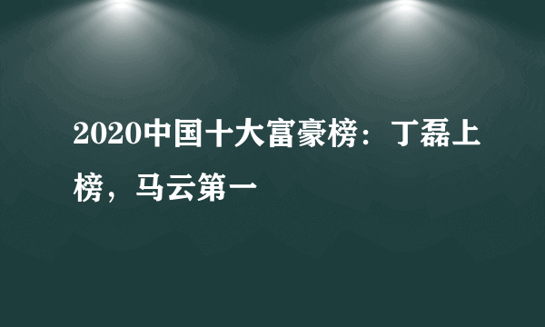 2020中国十大富豪榜：丁磊上榜，马云第一