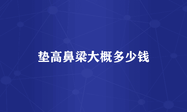 垫高鼻梁大概多少钱