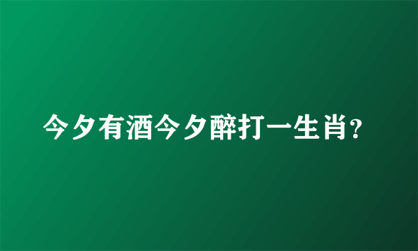 今夕有酒今夕醉打一生肖？