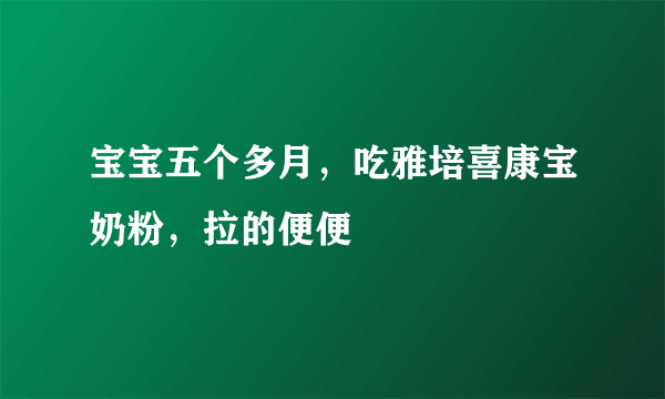宝宝五个多月，吃雅培喜康宝奶粉，拉的便便