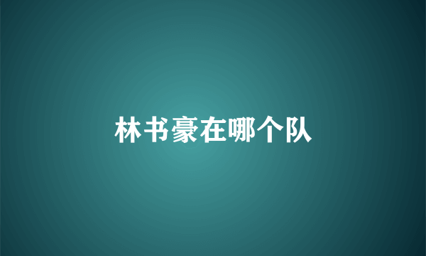 林书豪在哪个队