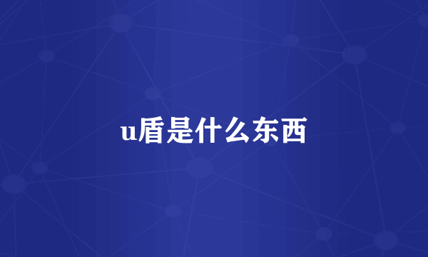u盾是什么东西