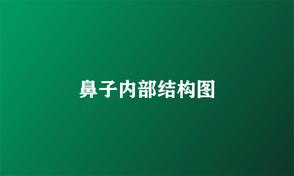 鼻子内部结构图