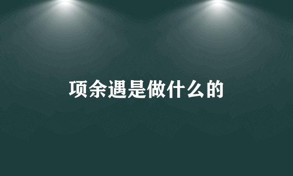 项余遇是做什么的