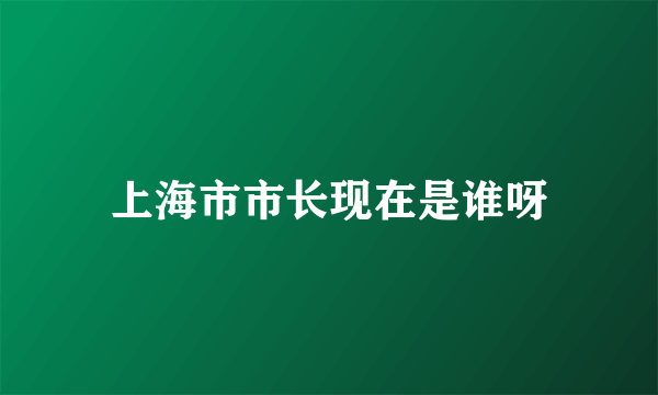 上海市市长现在是谁呀