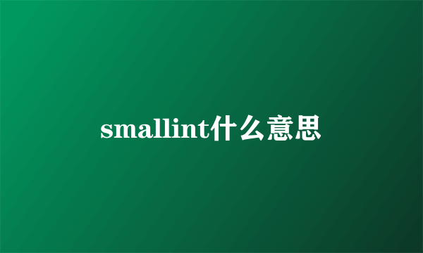 smallint什么意思