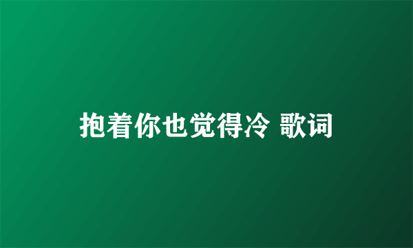 抱着你也觉得冷 歌词