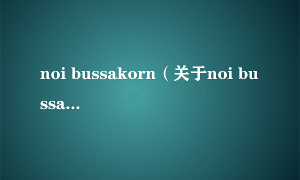 noi bussakorn（关于noi bussakorn的介绍）