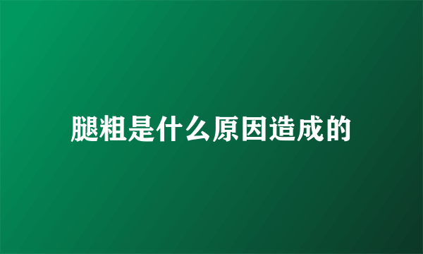 腿粗是什么原因造成的