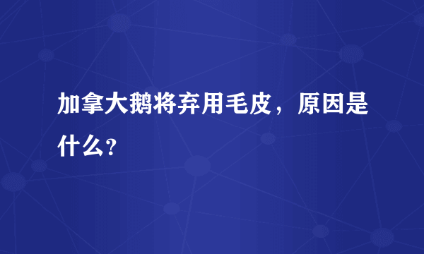 加拿大鹅将弃用毛皮，原因是什么？