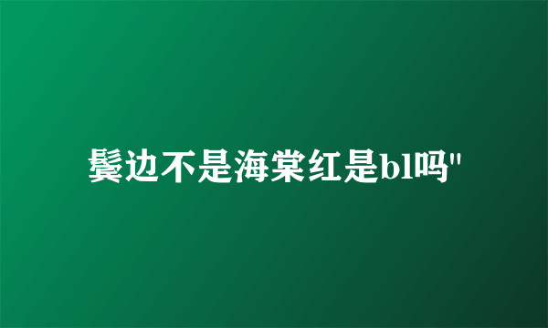 鬓边不是海棠红是bl吗