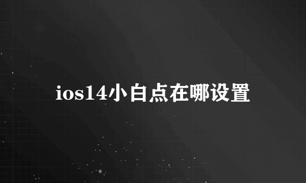 ios14小白点在哪设置