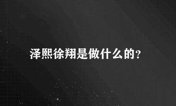 泽熙徐翔是做什么的？