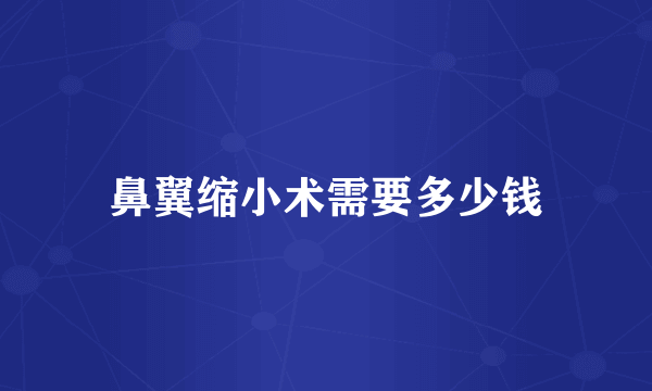 鼻翼缩小术需要多少钱
