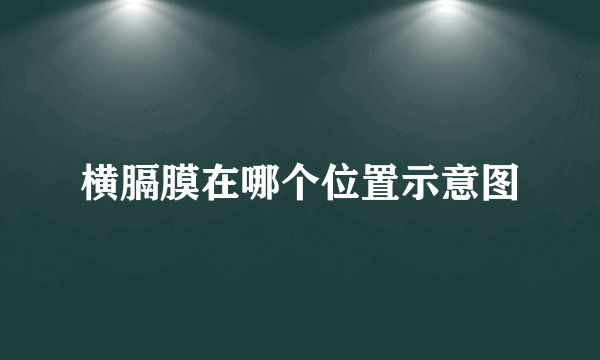 横膈膜在哪个位置示意图
