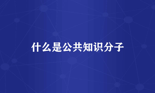 什么是公共知识分子
