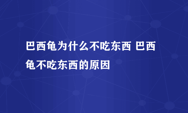 巴西龟为什么不吃东西 巴西龟不吃东西的原因
