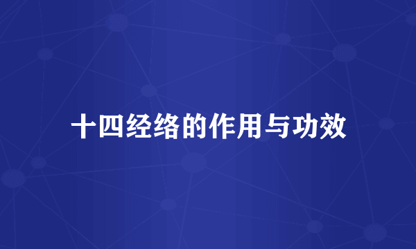 十四经络的作用与功效