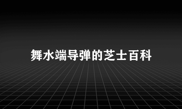 舞水端导弹的芝士百科
