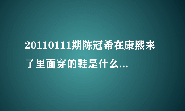 20110111期陈冠希在康熙来了里面穿的鞋是什么牌子的哪里有卖的？