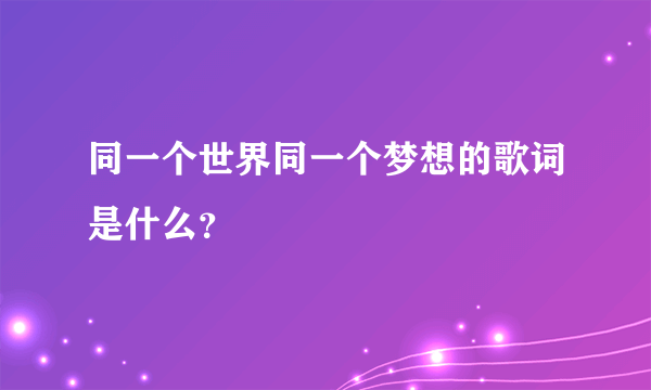 同一个世界同一个梦想的歌词是什么？