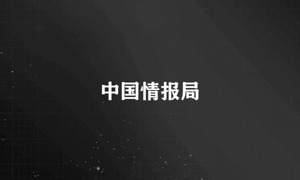 中国情报局