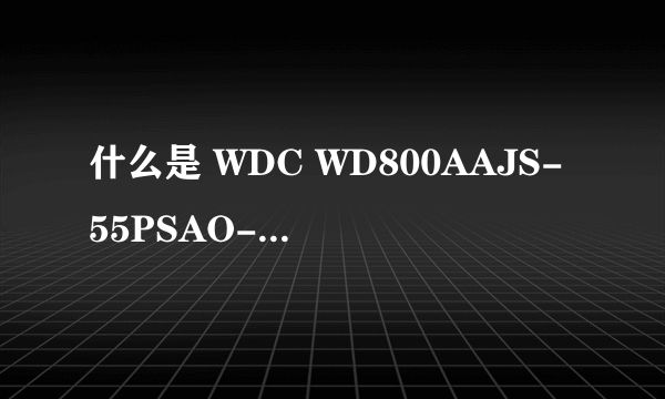 什么是 WDC WD800AAJS-55PSAO-驱动器(F:,E:,D:,C)