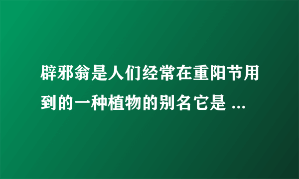 辟邪翁是人们经常在重阳节用到的一种植物的别名它是 蚂蚁庄园今日答案10月25日