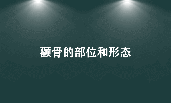颧骨的部位和形态
