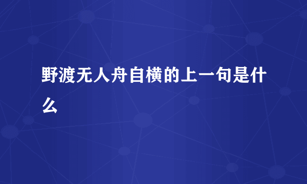 野渡无人舟自横的上一句是什么