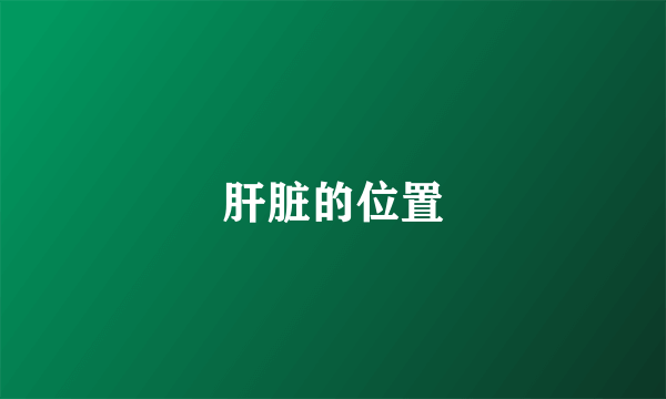 肝脏的位置