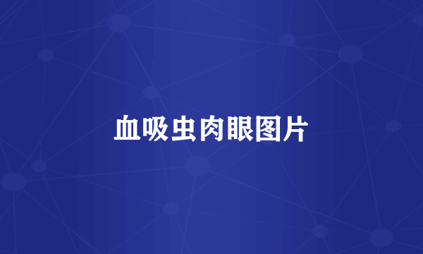 血吸虫肉眼图片