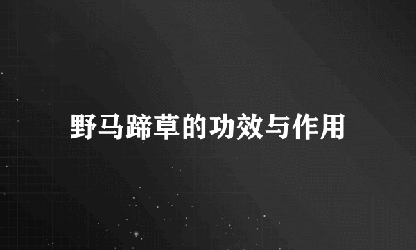 野马蹄草的功效与作用