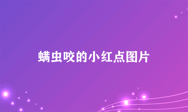 螨虫咬的小红点图片