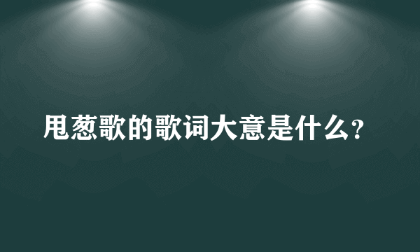 甩葱歌的歌词大意是什么？