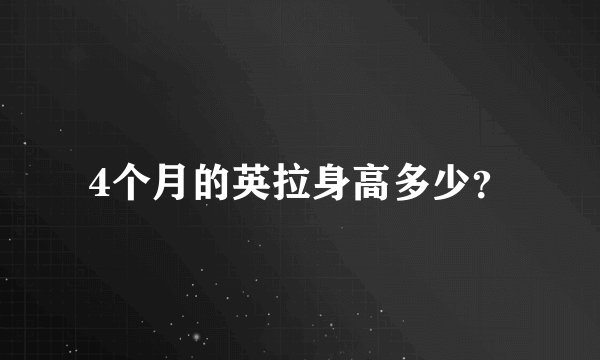4个月的英拉身高多少？