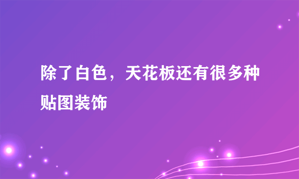 除了白色,天花板还有很多种贴图装饰