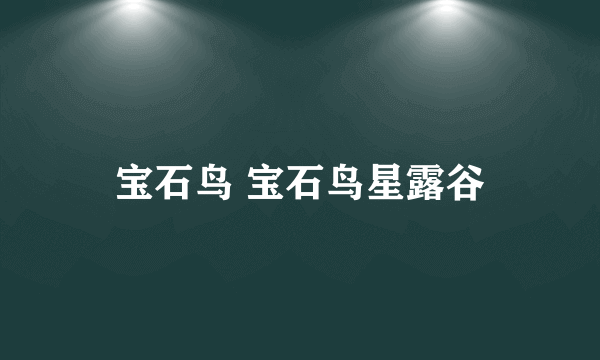 宝石鸟 宝石鸟星露谷