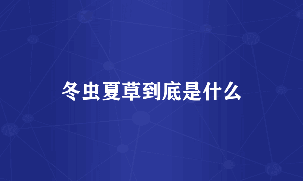 冬虫夏草到底是什么