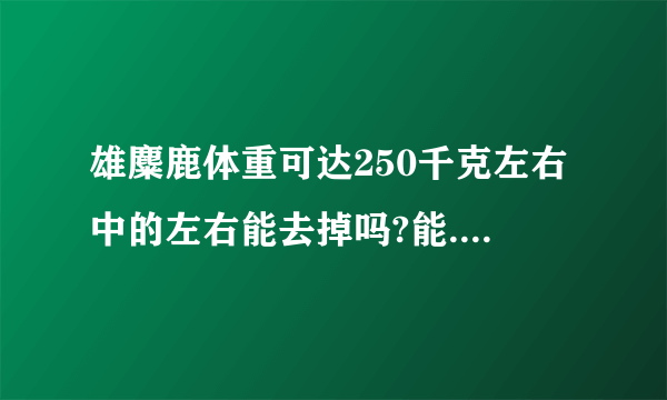 雄麋鹿体重可达250千克左右中的左右能去掉吗?能.为什么?