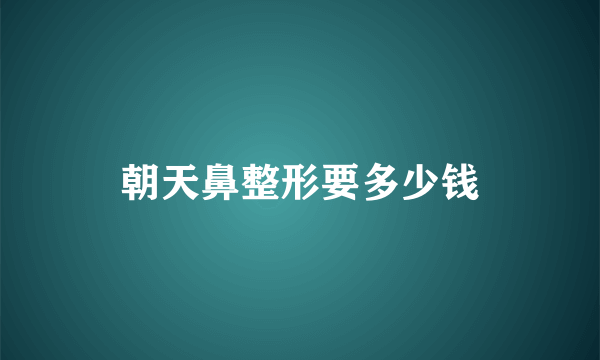 朝天鼻整形要多少钱
