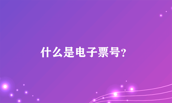 什么是电子票号？