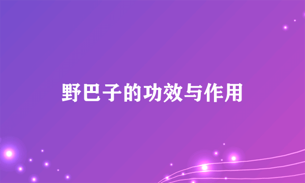 野巴子的功效与作用
